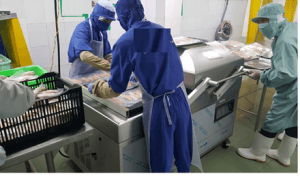 dong-goi-ca-ngu-tren-may-hut-chan-khong-2-75