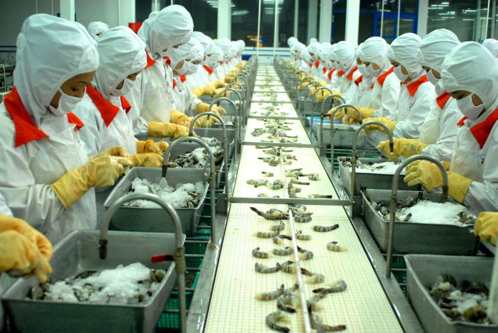 Hệ thống máy đóng gói tự động cho ngành thực phẩm tại nhà máy ở Việt Nam