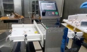 máy dò kim loại cho thực phẩm Anritsu trên dây chuyền sản xuất